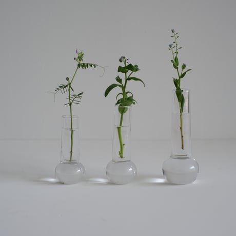 CATEGORY GLASS | archipelago