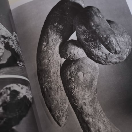 PICASSO: SCULPTOR - MATTER AND BODY/ Pablo Picasso