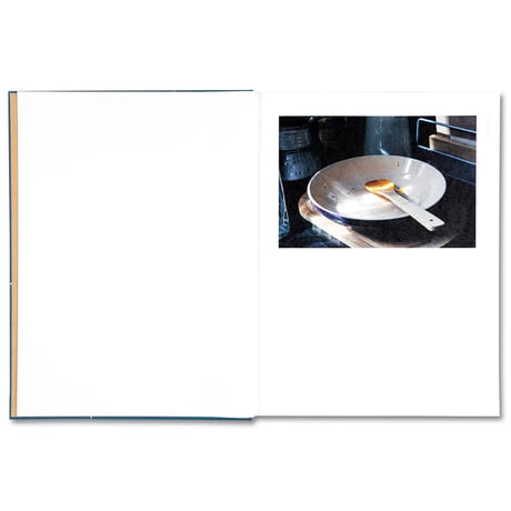 GOLDEN APPLE OF THE SUN / Teju Cole
