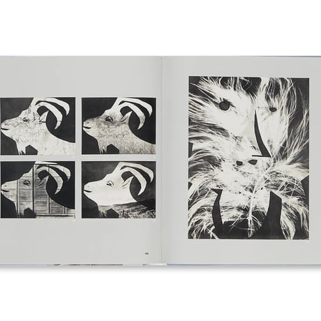 PICASSO CUT PAPERS / Pablo Picasso