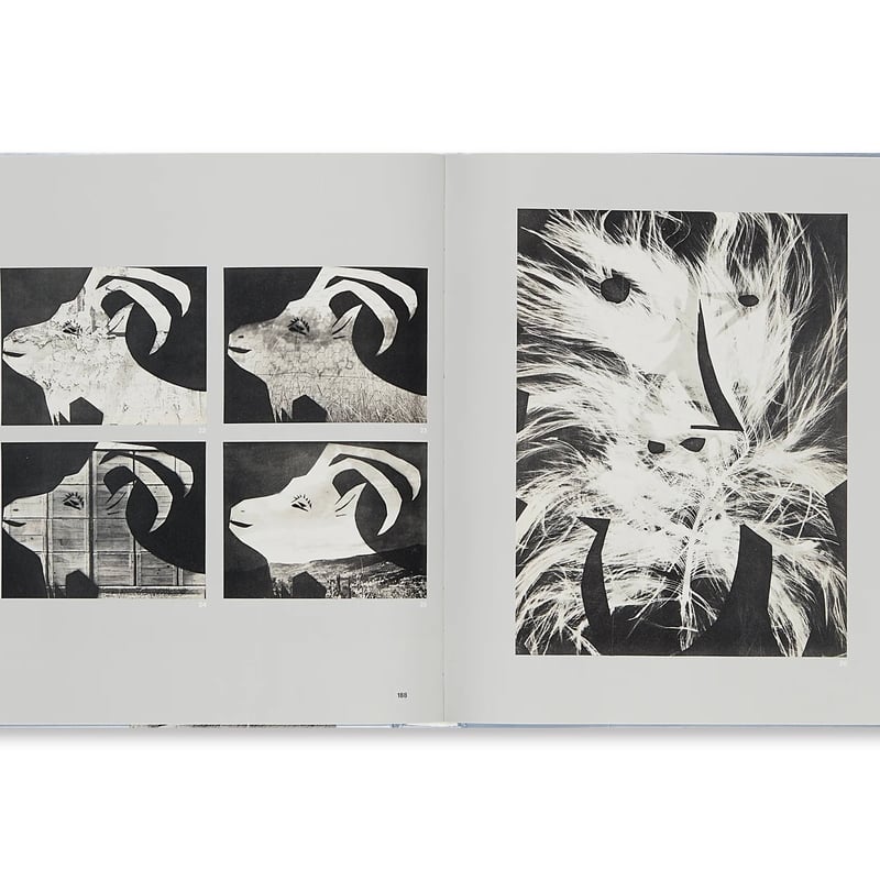 Picassoピカソ リノリウムカット 大きな画集全ページ質感の良い厚紙