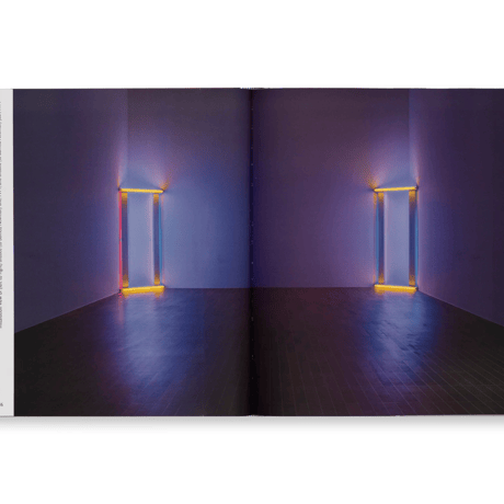 DEDICATIONS IN LIGHTS / Dan Flavin