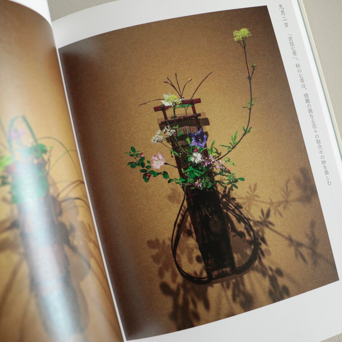 四時之花 なげいれ稽古録/川瀬敏郎 | archipelago 四時之花 なげいれ稽古録/川瀬敏郎 | archipelago