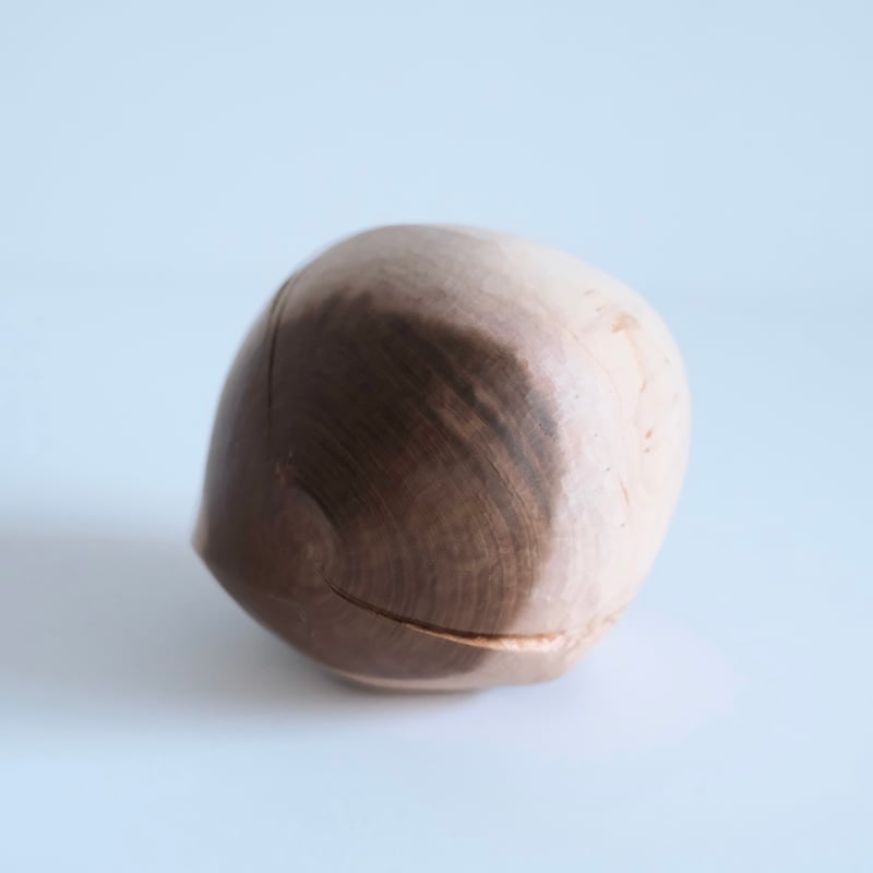 ✨希少✨福井 守さん作 木製オブジェクト 桜の木 福井守 Object／桜 | archipelago