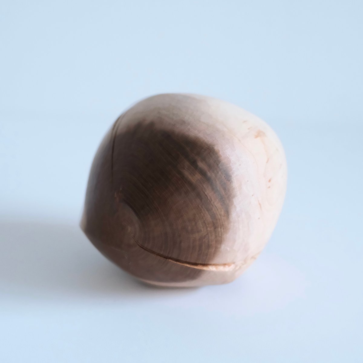 福井守　1点物壁掛けアートワーク（墨染） 福井守 Object／桜 | archipelago