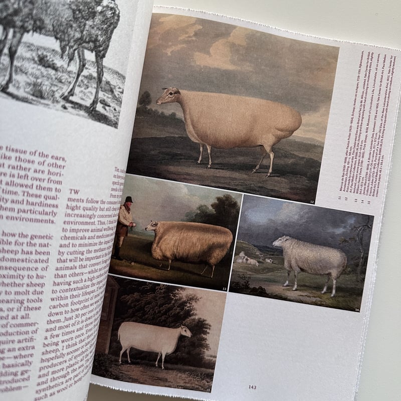 FORMAFANTASMA: OLTRE TERRA by Formafantasma | a