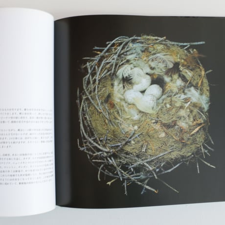 写真集 鳥の巣 50個の巣と、50種の鳥たち