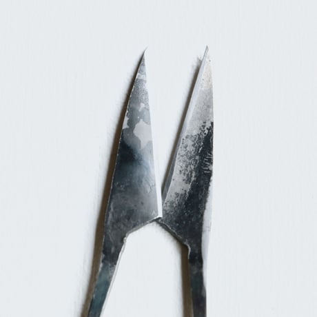 TAjiKA / HERB SHEARS