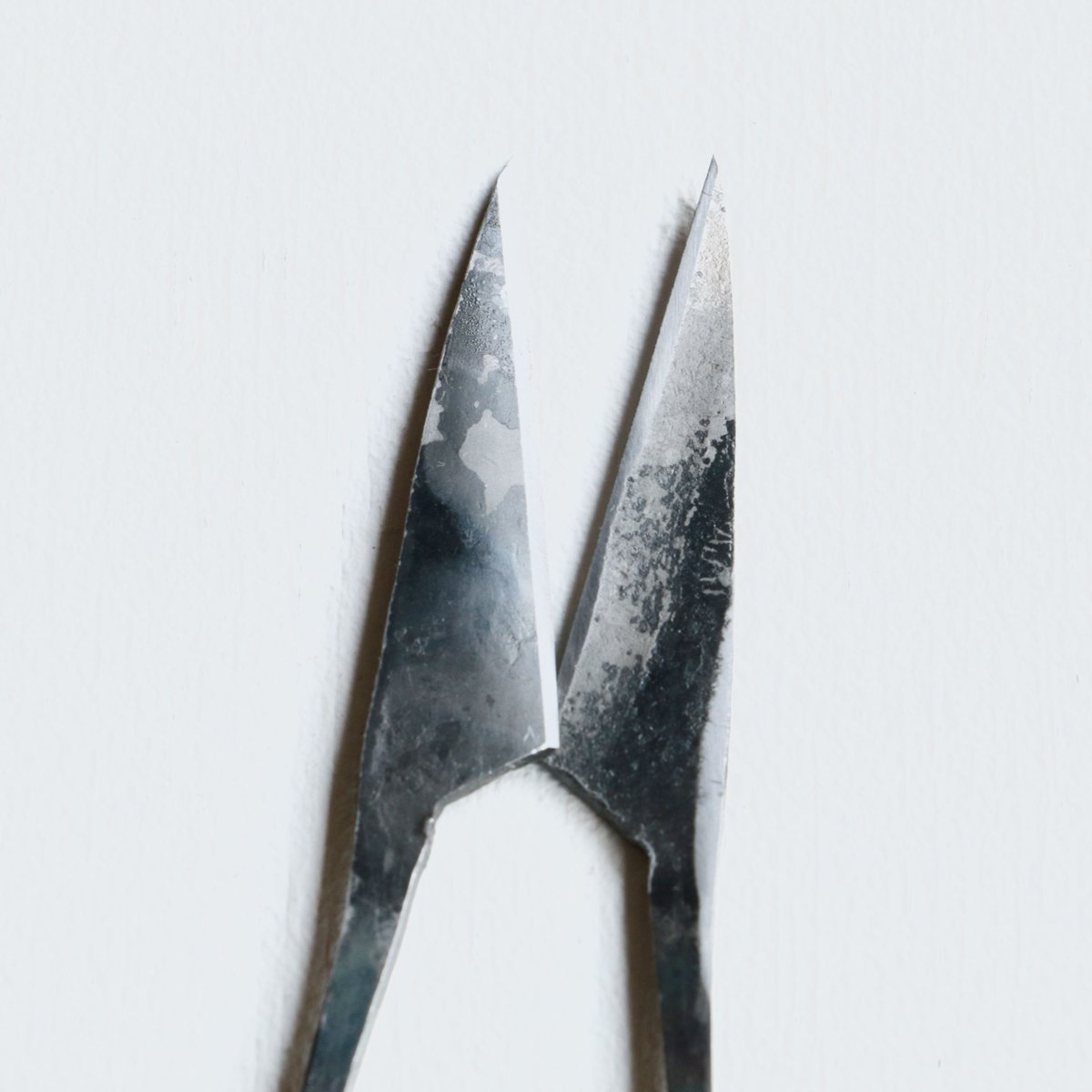 TAjiKA / HERB SHEARS | archipelago