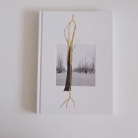 GIUSEPPE PENONE: THOUGHTS IN THE ROOTS / Giuseppe Penone