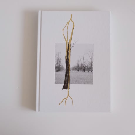 GIUSEPPE PENONE: THOUGHTS IN THE ROOTS / Giuseppe Penone