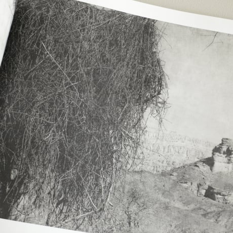 UNNAMED ROAD／Jungjin Lee