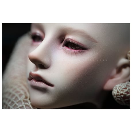 ✩.*˚+illusion garden+  Hades humans ver.✧*̣̩⋆̩☽⋆°