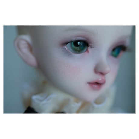 ✩.*˚+VOLKS+ SDM FullChoice No.45 ✧*̣̩⋆̩☽⋆°