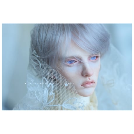 ✩.*˚+Mahua+  Soji .✧*̣̩⋆̩☽⋆°