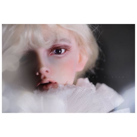 ✩.*˚+Rosentta doll+  Hielo ✧*̣̩⋆̩☽⋆°