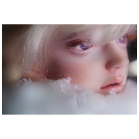 ✩.*˚+Rosentta doll+  Hielo ✧*̣̩⋆̩☽⋆°