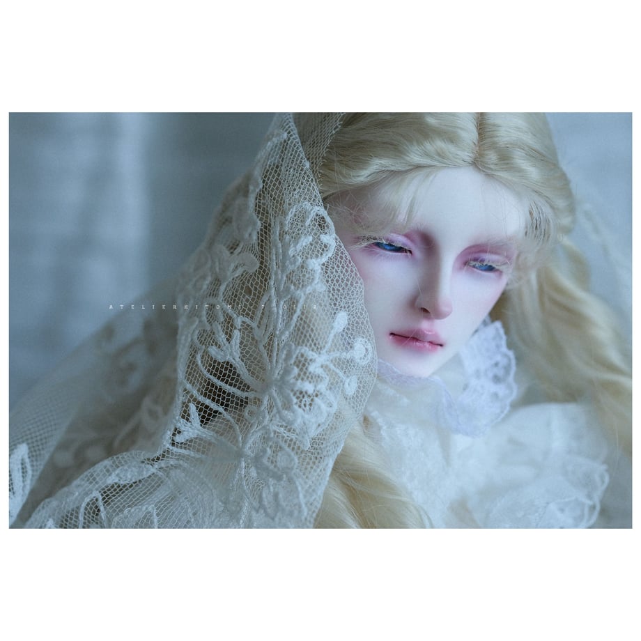 622accdf7d11617bfca14571