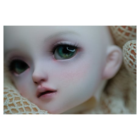 ✩.*˚+VOLKS+ SDM FullChoice No.45 ✧*̣̩⋆̩☽⋆°