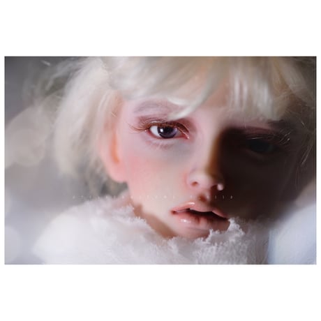 ✩.*˚+Rosentta doll+  Hielo ✧*̣̩⋆̩☽⋆°