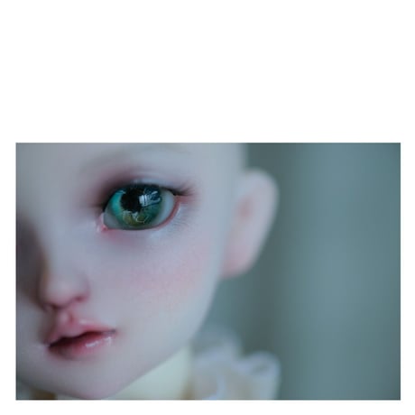✩.*˚+VOLKS+ SDM FullChoice No.45 ✧*̣̩⋆̩☽⋆°