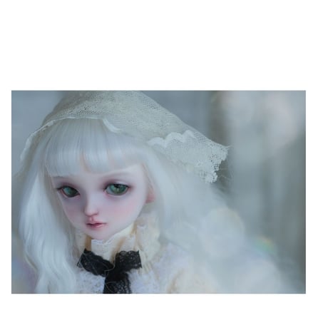 ✩.*˚+VOLKS+ SDM FullChoice No.45 ✧*̣̩⋆̩☽⋆°