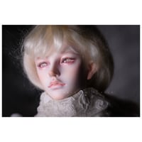 ✩.*˚+illusion garden+  Hades humans ver.✧*̣̩⋆̩☽⋆°
