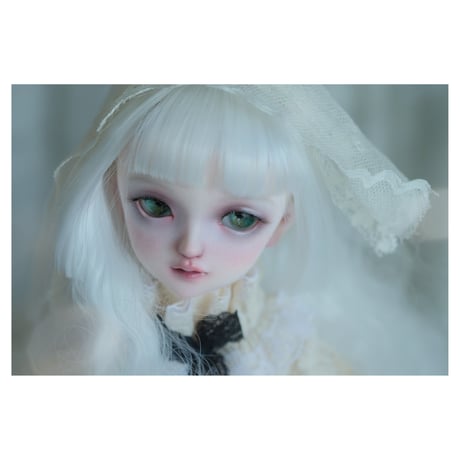 ✩.*˚+VOLKS+ SDM FullChoice No.45 ✧*̣̩⋆̩☽⋆°
