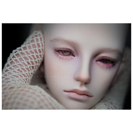 ✩.*˚+illusion garden+  Hades humans ver.✧*̣̩⋆̩☽⋆°
