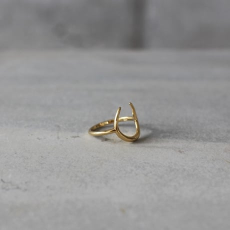 R1-シルバー素材　ゴールドホースシューリング
