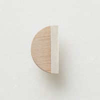 TP001-R (pierce/earring)