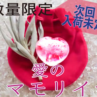 【完売】愛のミマモリイシ・ピンクハートの最強パワーストーン