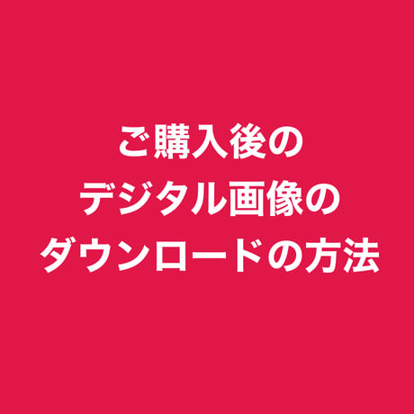 📱デジタル【23日販売開始】金運上昇護符