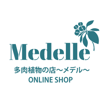 メデル 多肉植物の店 Medelle