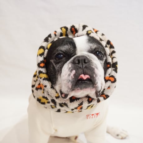 フレブル★洋服セット★TiTiTi /and Chariie/peak等 フレンチブルドッグ服・TiTiTi（ちちち）