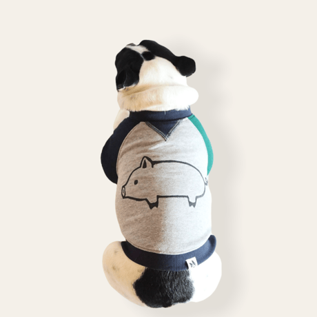 butaさんスウェットTシャツ//グリーンネイビー・フレブル服TiTiTi