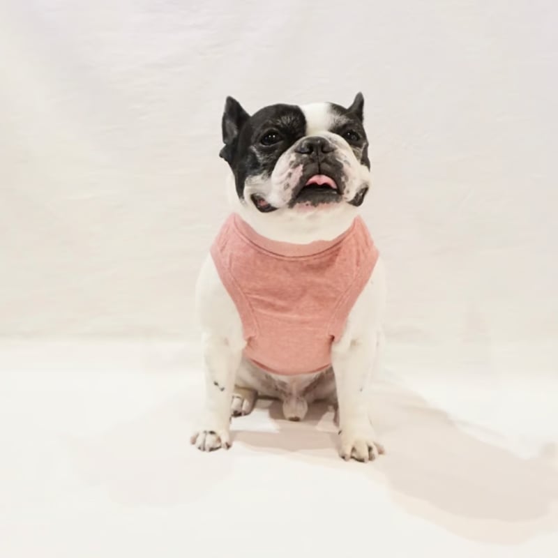 ┊smileflower┊オーガニックコットンパイルタンク//ピンク￤フレブル