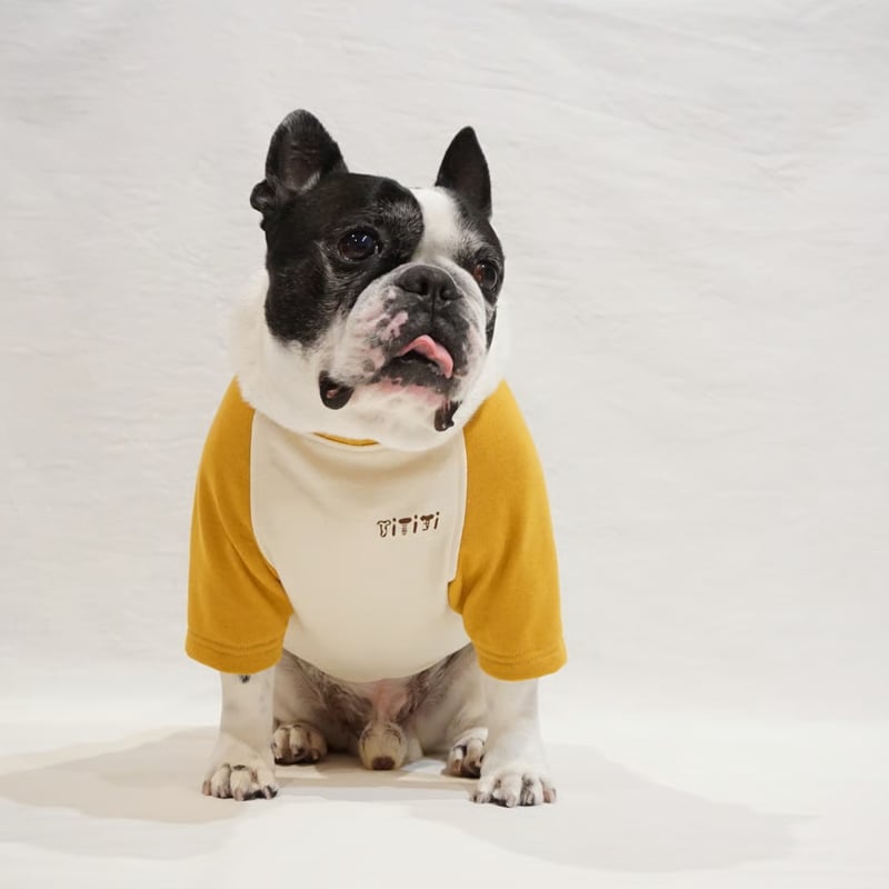 GOODDAYラグランスリーブスウェット/マスタード・・・フレブル服TiTiTi