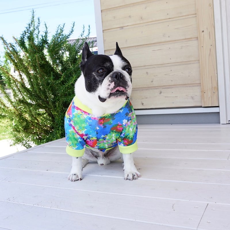 ハンドメイドフレブル服no.確認用 ┊ひえひえcoolブルゾン┊(A)イエロー・フレブル服TiTiTi | フレンチ