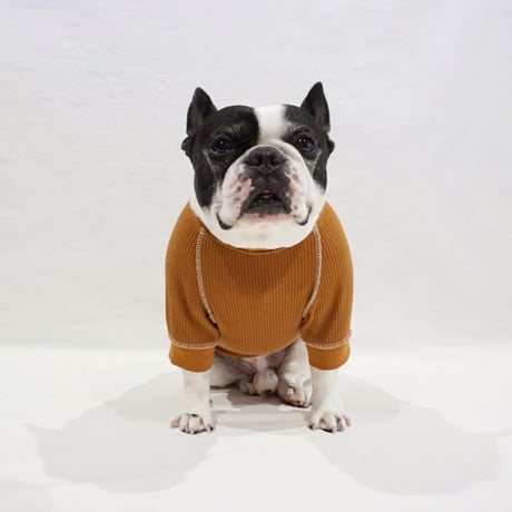ステッチリブTシャツ//ブラウン・・・フレブル服TiTiTi