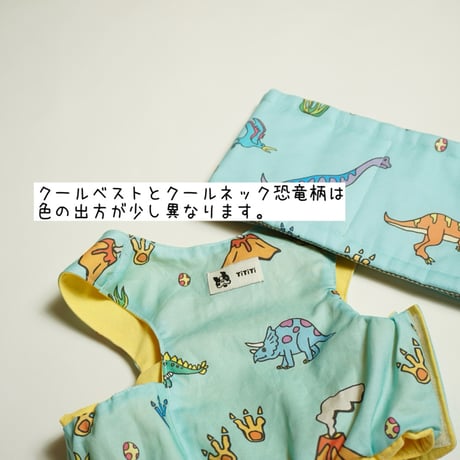 ┊クールネック┊恐竜┊フレブル服TiTiTi