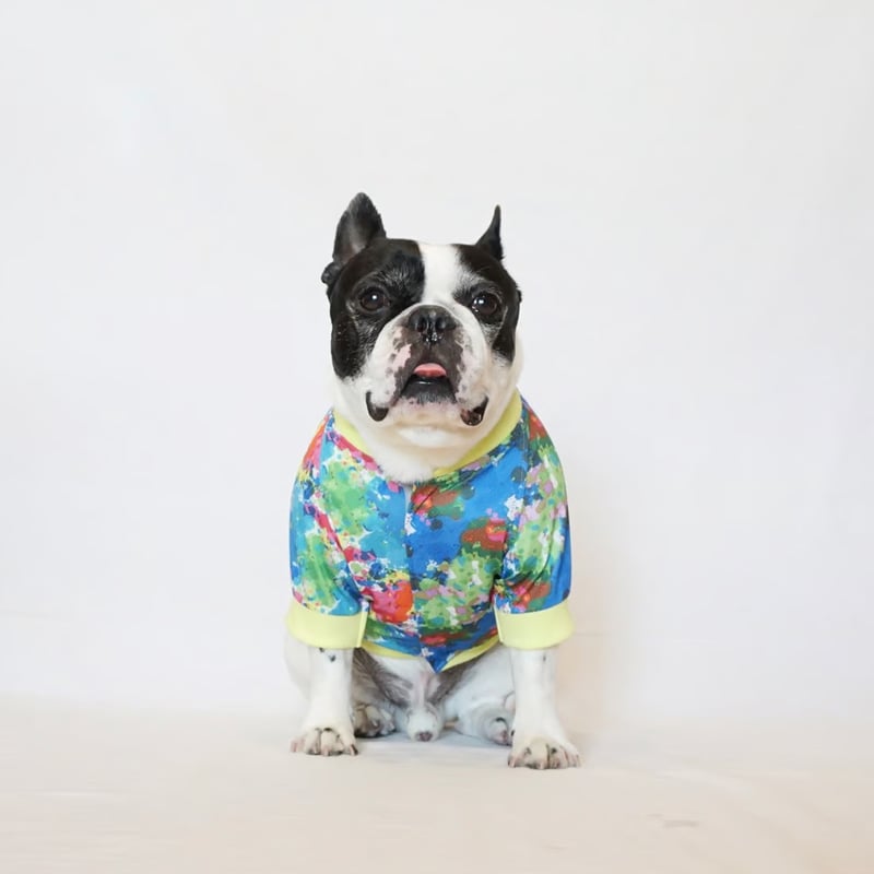 ┊ひえひえcoolブルゾン┊(A)イエロー・フレブル服TiTiTi | フレンチ