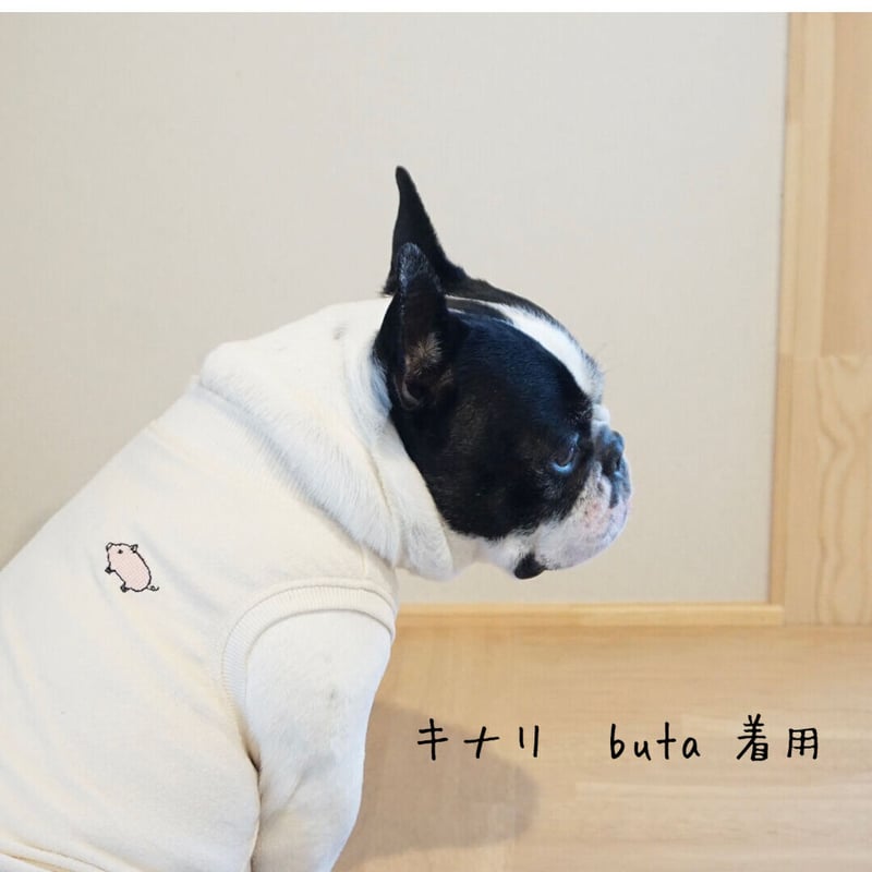 ┊buta┊オーガニックコットンパイルタンク//グレー・・・フレブル服