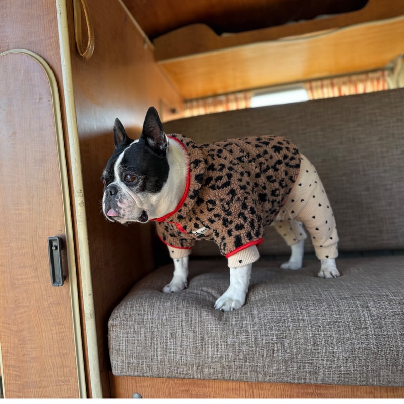 レオパードボアスナッププルオーバー//ベージュ・・フレブル服