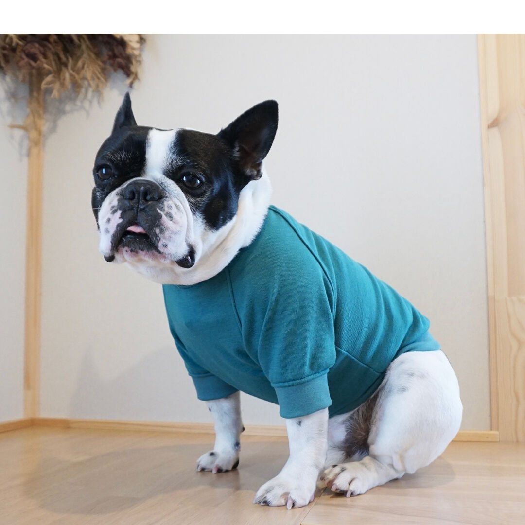 COOLATIQUES フレンチブルドッグ Tシャツ The Endless Summer TES テス 長袖 Tシャツ ロンT フレンチ