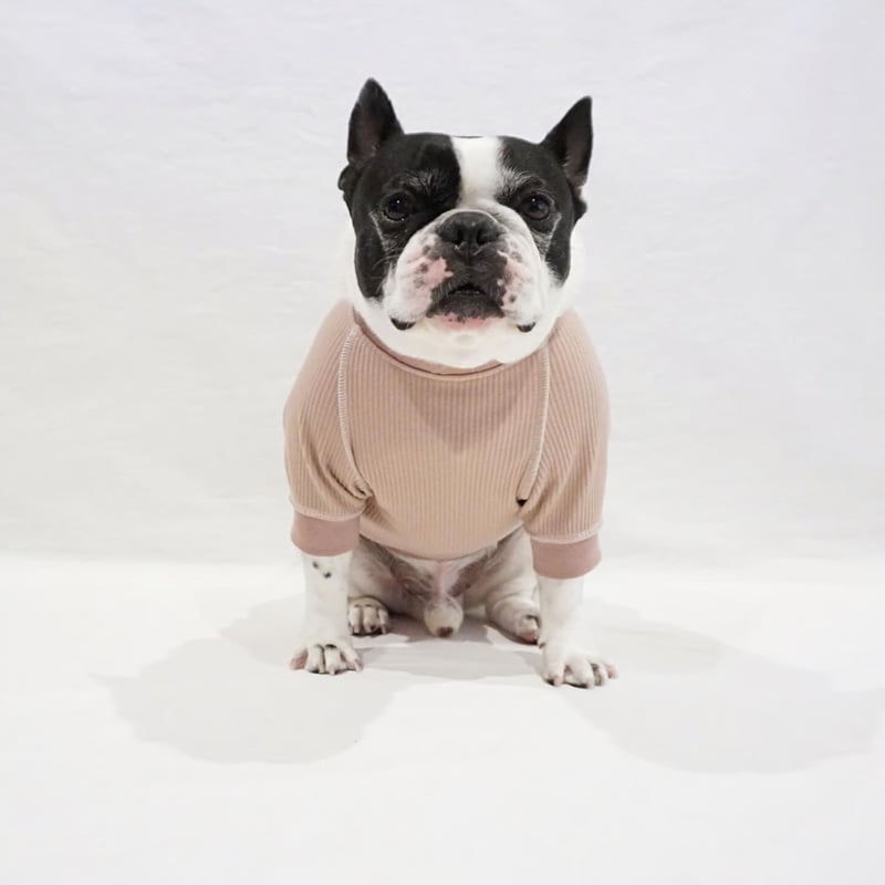 ステッチリブTシャツ/モカグレージュ・フレブル服TiTiTi