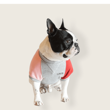 butaさんスウェットTシャツ//ピンクレッド・・・フレブル服TiTiTi