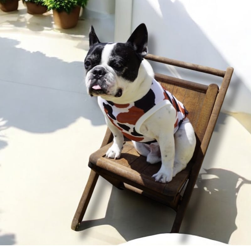 ┊ひえひえcoolタンク┊三毛猫・・・・フレブル服TiTiTi | フレンチ