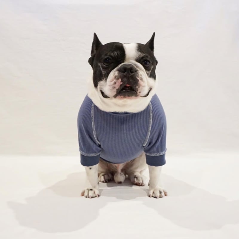 ステッチリブTシャツ//ブルー・・・・フレブル服TiTiTi | フレンチ