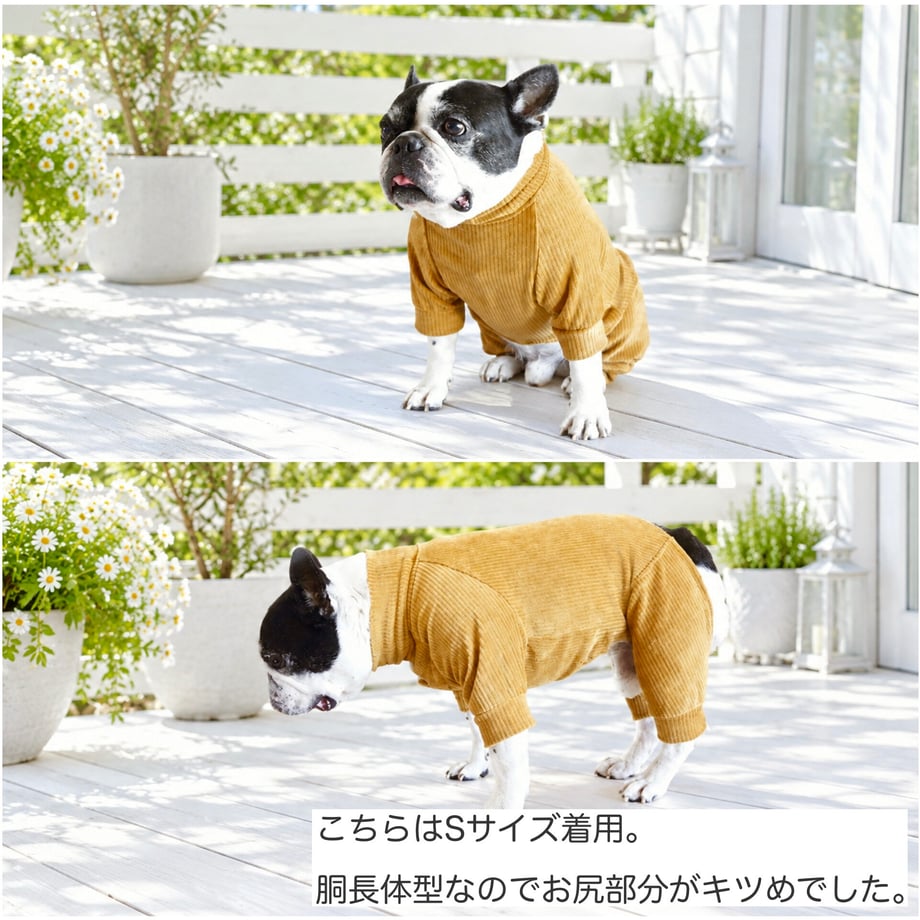 6ae1759337a3376111f88fc7